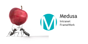 Medusa Intranet Framework